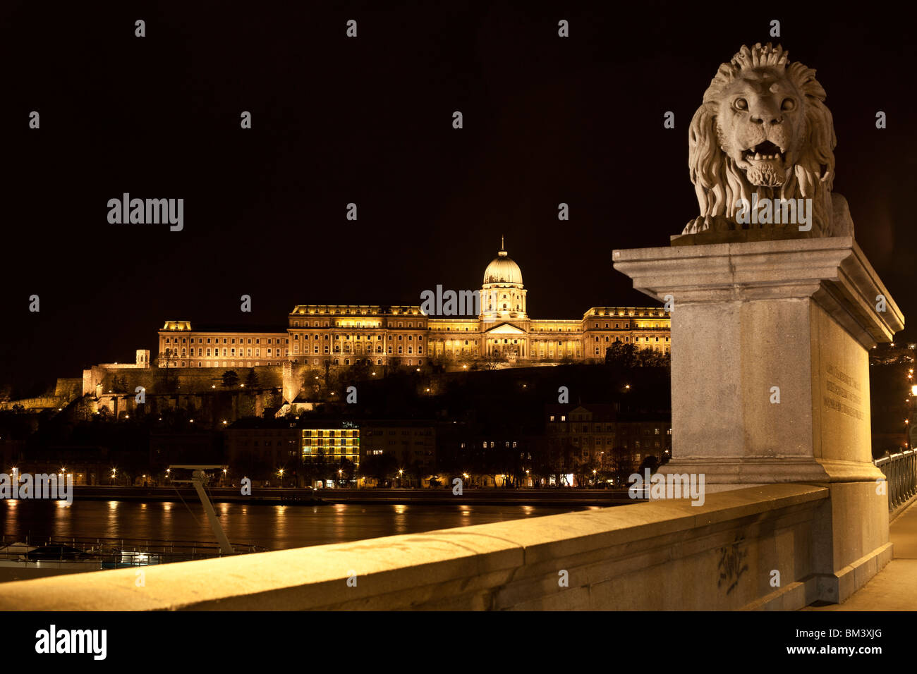 Night view of the Buda Castle from Széchenyi Chain Bridge guarded by ...