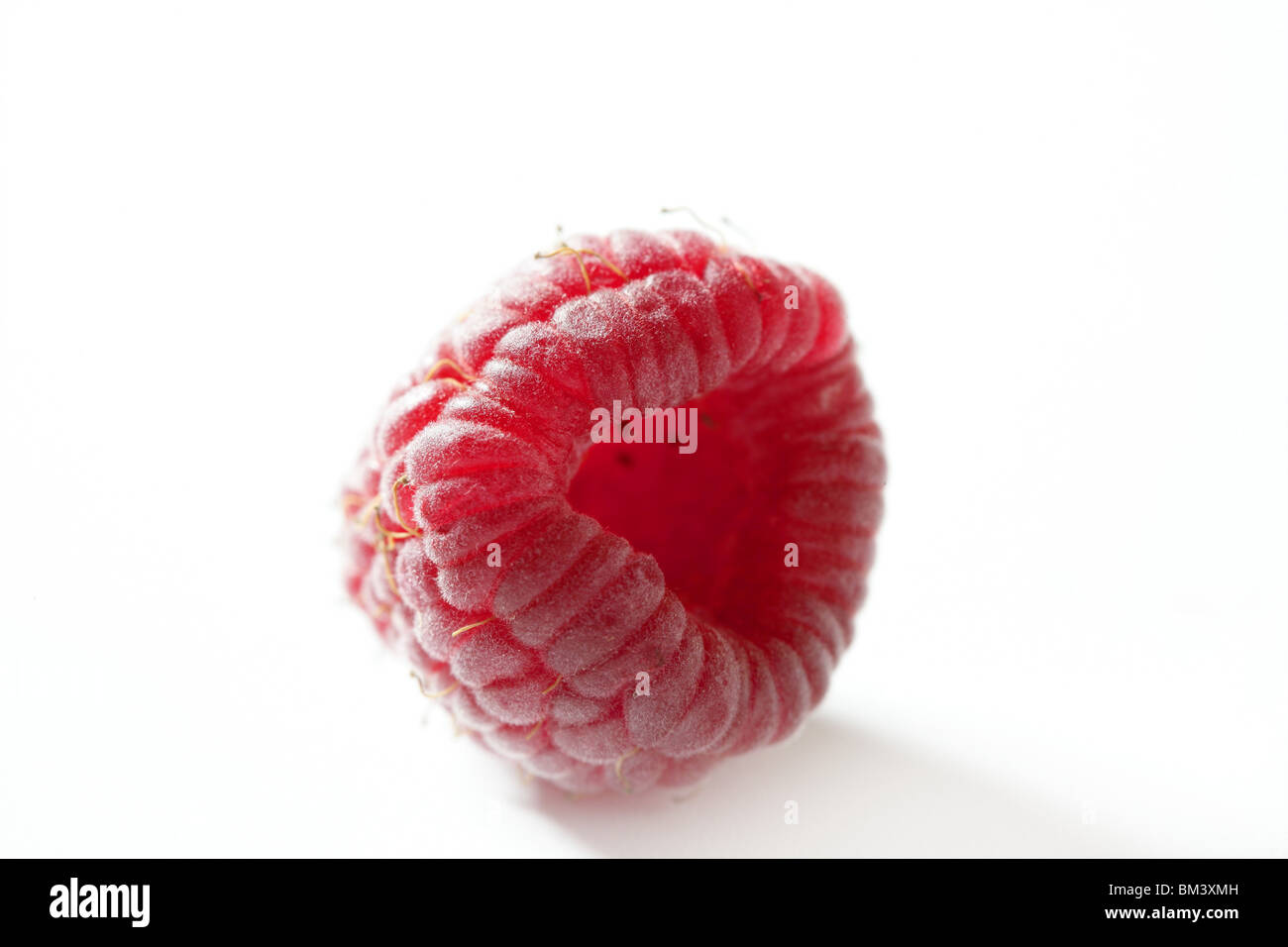 one red macro raspberry over white background studio shot Stock Photo ...
