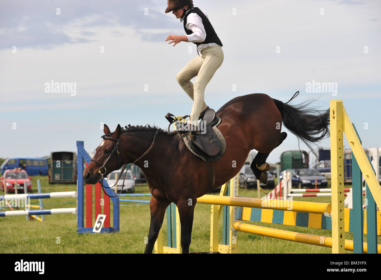 Funny Horse Jumping Pictures