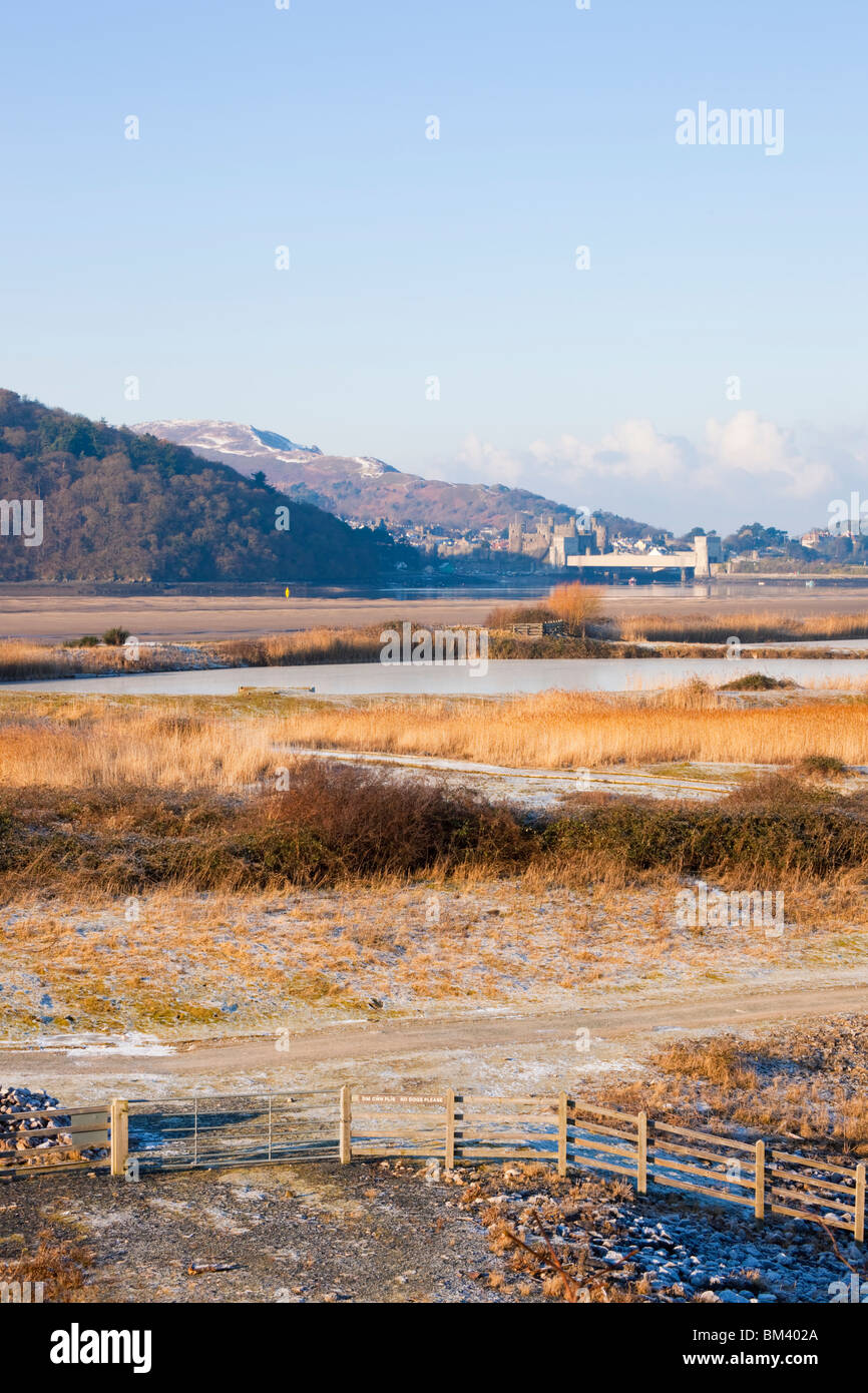 Conwy, North Wales, UK. View across Conwy RSPB reserve coastal lagoons and grassland habitat by Afon Conwy River estuary Stock Photo