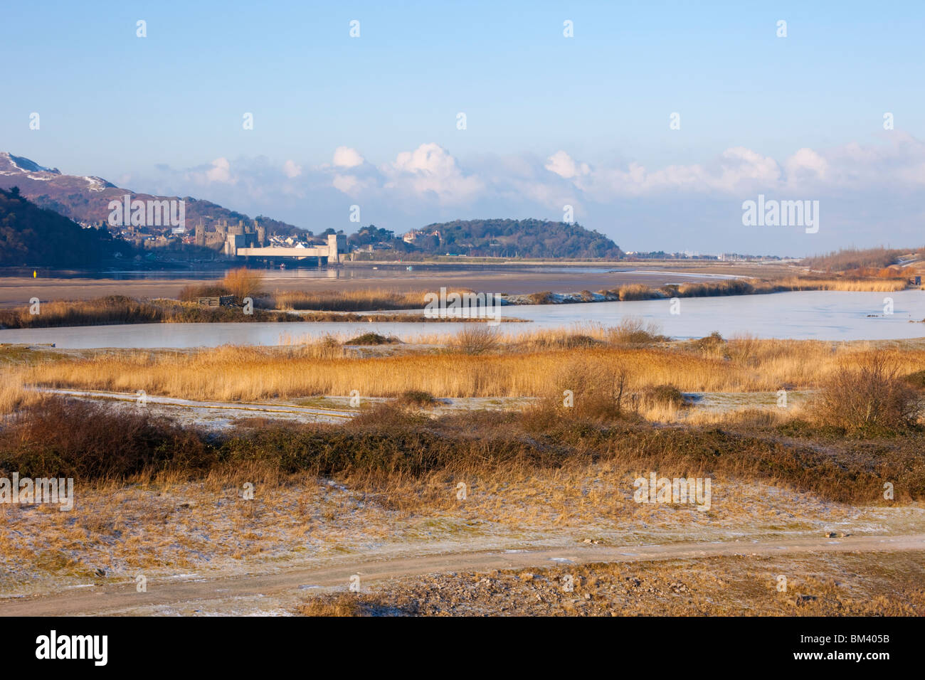 Conwy, North Wales, UK. View across Conwy RSPB reserve coastal lagoons and grassland habitat by Afon Conwy River estuary Stock Photo