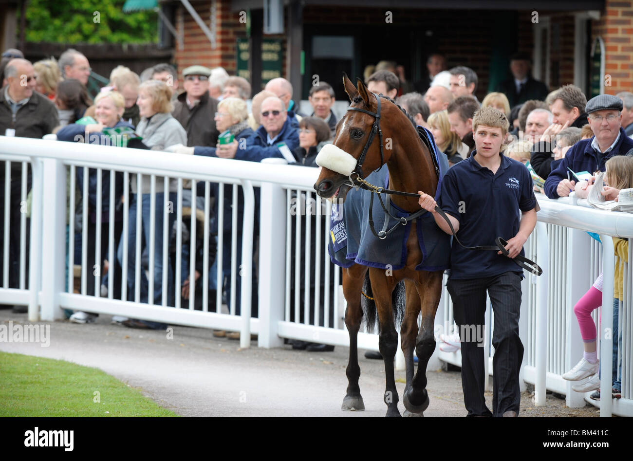 Plumpton Races in Sussex a horse appears to be smiling to the crowds