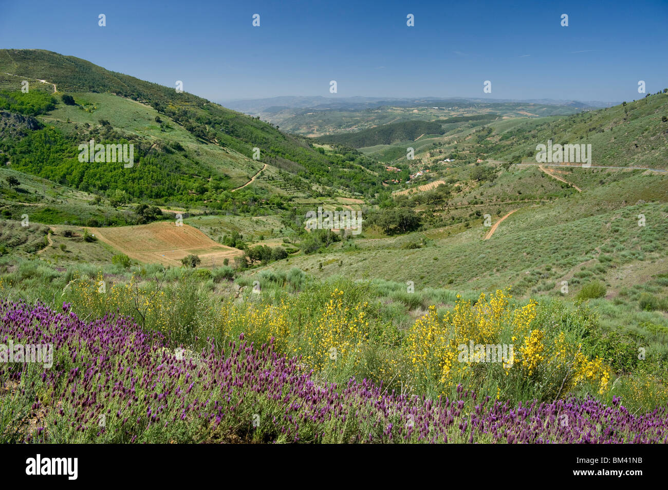 Portugal, Landscape in the Alto Douro region near Vila Nova De Foz Coa Stock Photo