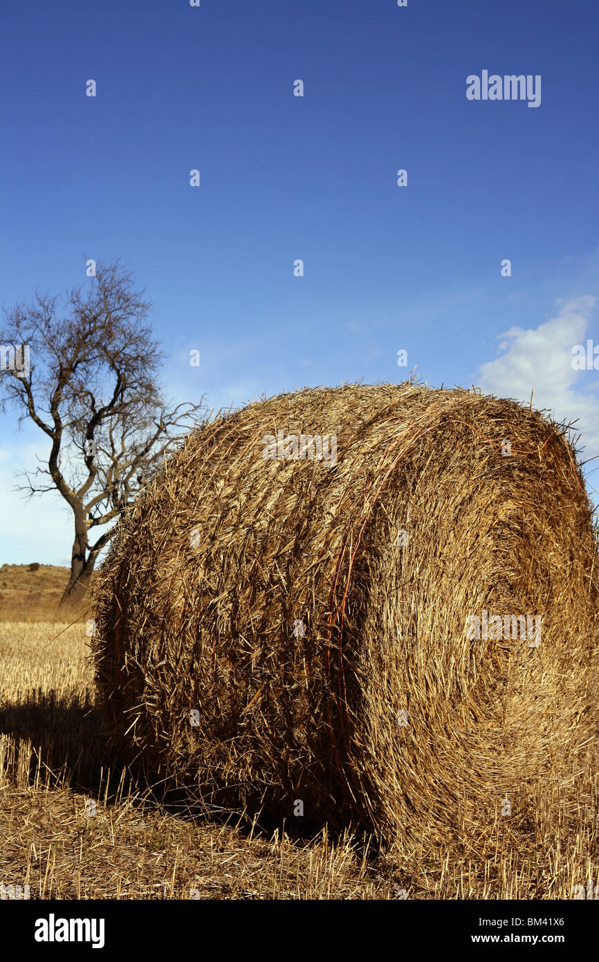 Yellow straw round bale in the fields, blue sky, Spain Stock Photo - Alamy