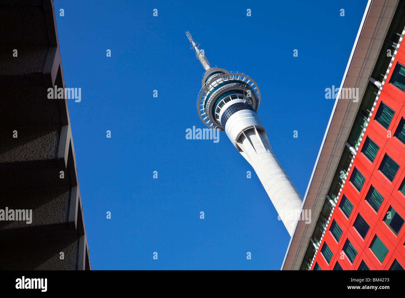 The Sky Tower, the tallest man-made structure in New Zealand at 328 metres. Auckland, North Island, New Zealand Stock Photo