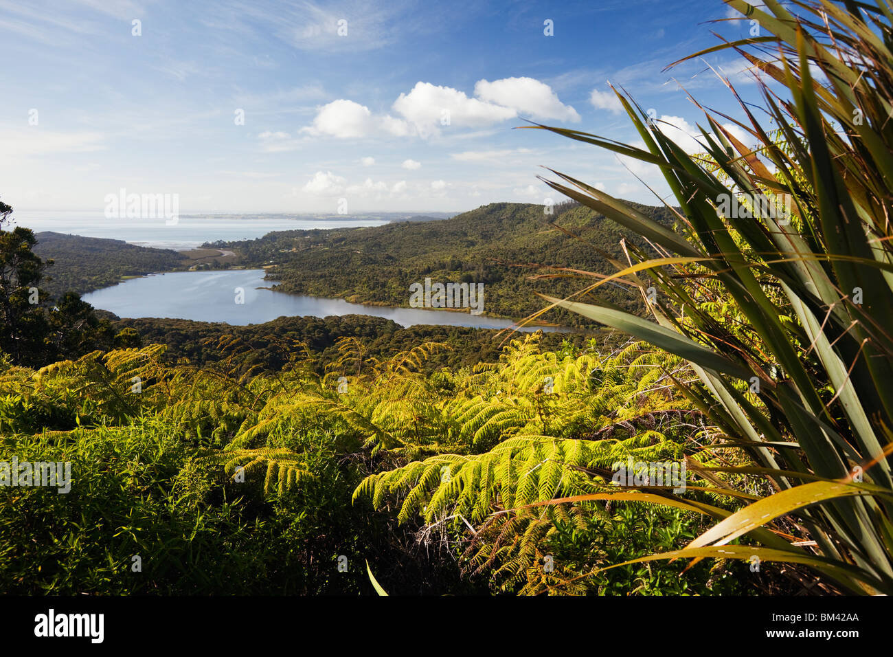 View of the Waitakere Ranges Regional Park from Arataki Visitors Centre. Waitakere Ranges, Auckland, North Island, New Zealand Stock Photo
