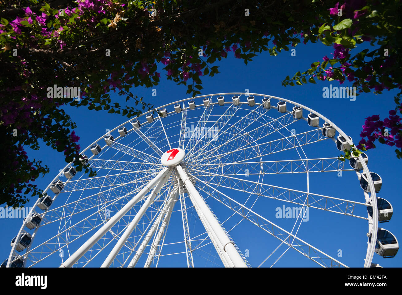 The Wheel of Brisbane a 60 metre high ferris wheel overlooking South