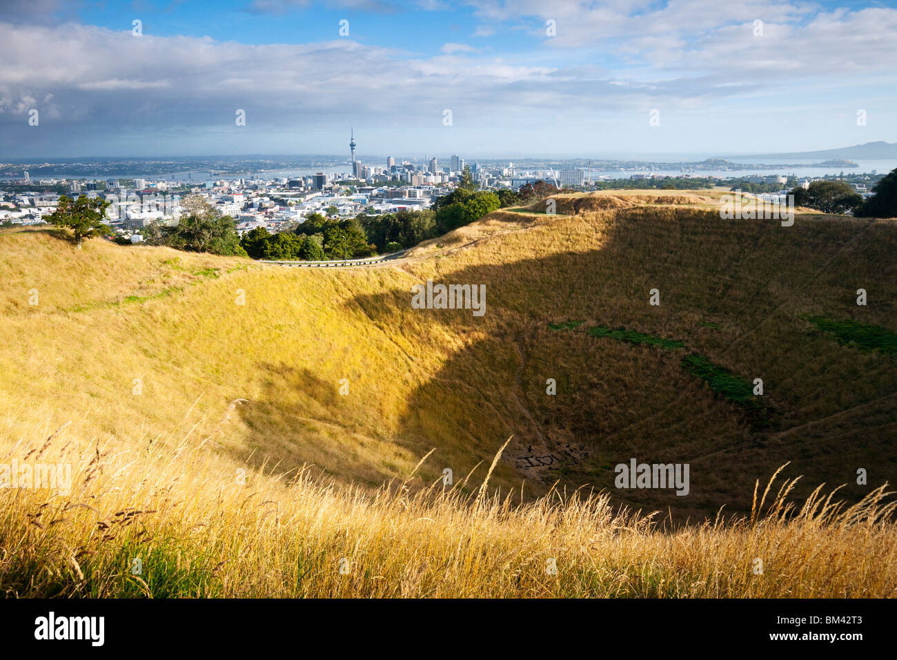 The Mt Eden crater (Te Ipu Kai a Mataaho).  Mt Eden (Maungawhau), Auckland, North Island, New Zealand Stock Photo