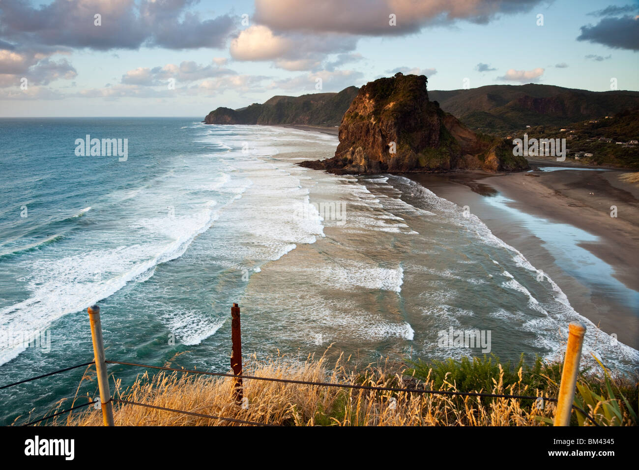 Piha beach and Lion Rock at dusk. Piha, Waitakere Ranges Regional Park, Auckland, North Island, New Zealand Stock Photo