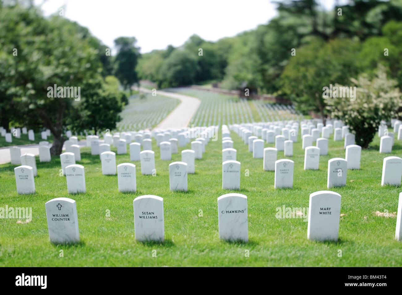 Tilt-shift photo of headstones at Arlington National Cemetery on a sunny day, with very narrow depth of field. Stock Photo