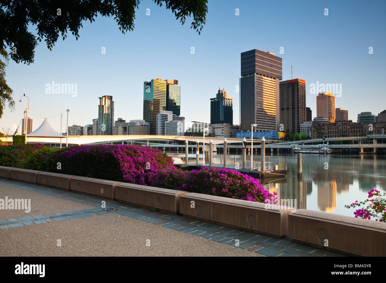 View of the city skyline from South Bank Parklands at dawn. Brisbane, Queensland, Australia Stock Photo