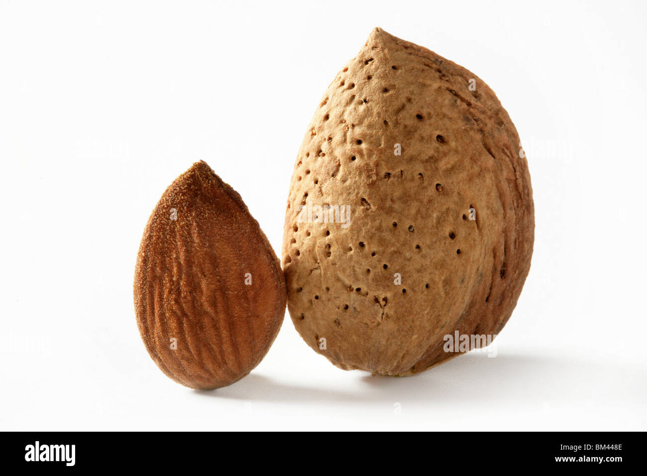 Almond macro image over white background, studio shot Stock Photo Alamy