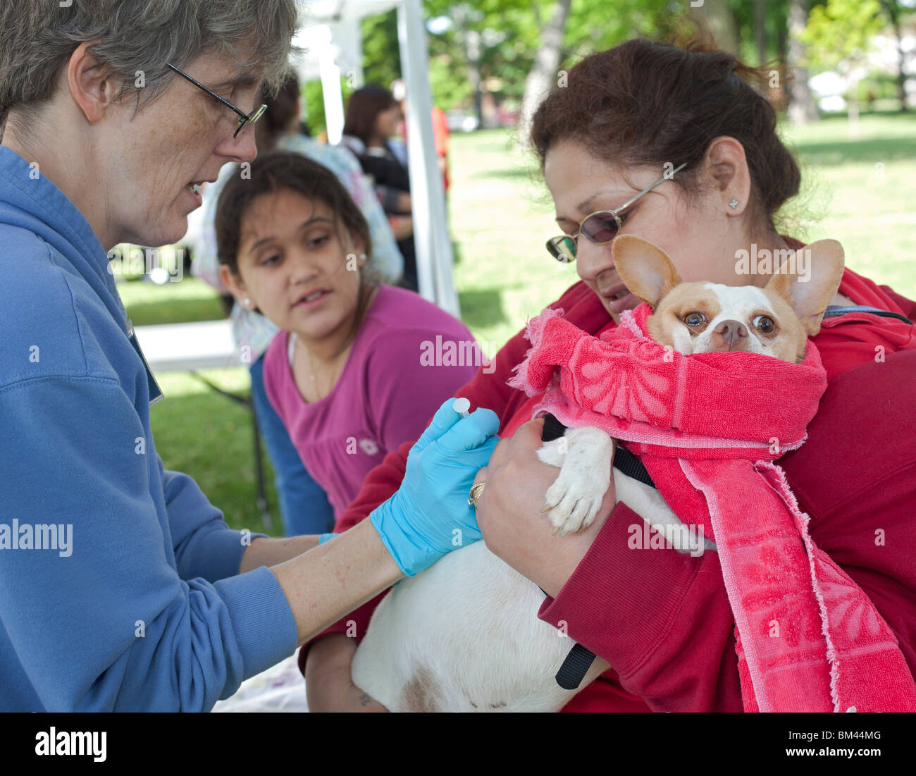 Humane Society Vaccination Clinic for Pets of Low-Income People Stock Photo