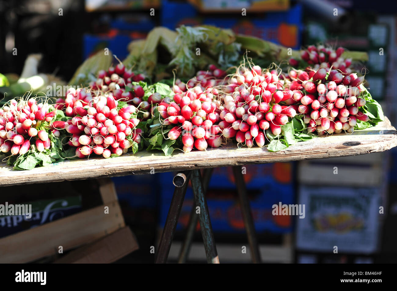 radish in Paris market Stock Photo Alamy