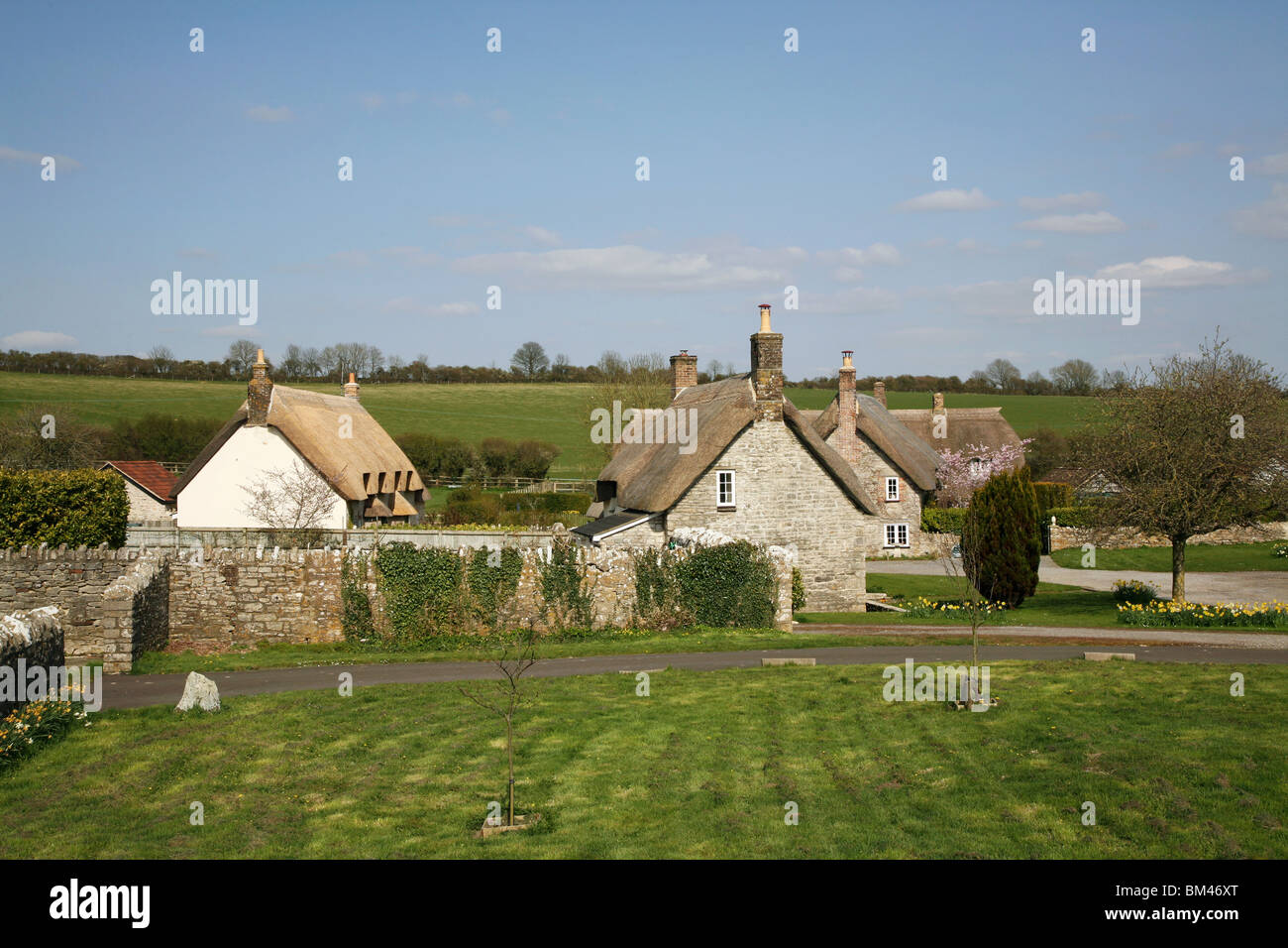 Springtime view of the attractive thatched village of Whitcombe near Dorchester, the county town of Dorset Stock Photo