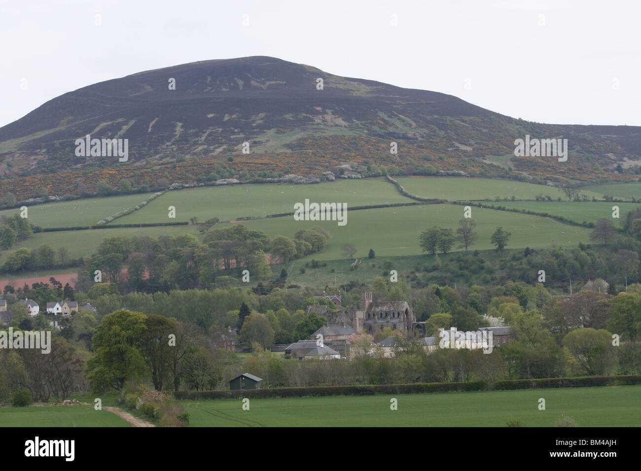 Eildon hills melrose hi-res stock photography and images - Alamy