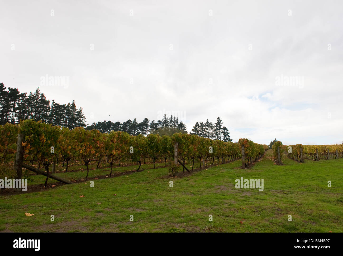 Kumeu new zealand hires stock photography and images Alamy