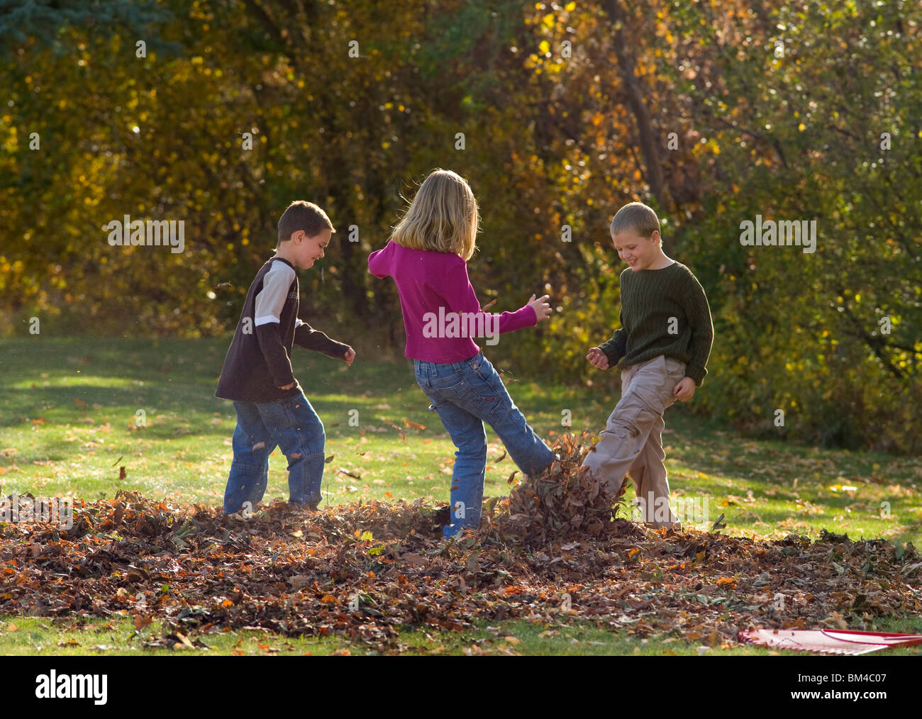Girl playing in pile leaves hi-res stock photography and images - Alamy