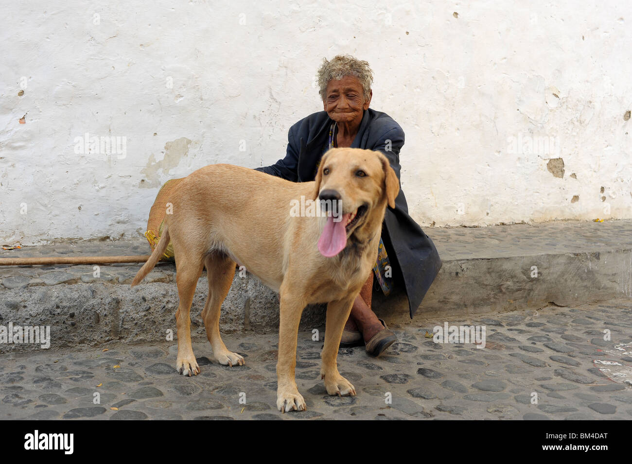 Elderly Colombian woman and dog living in poverty in Santa Fe De Antioquia, Colombia. Stock Photo