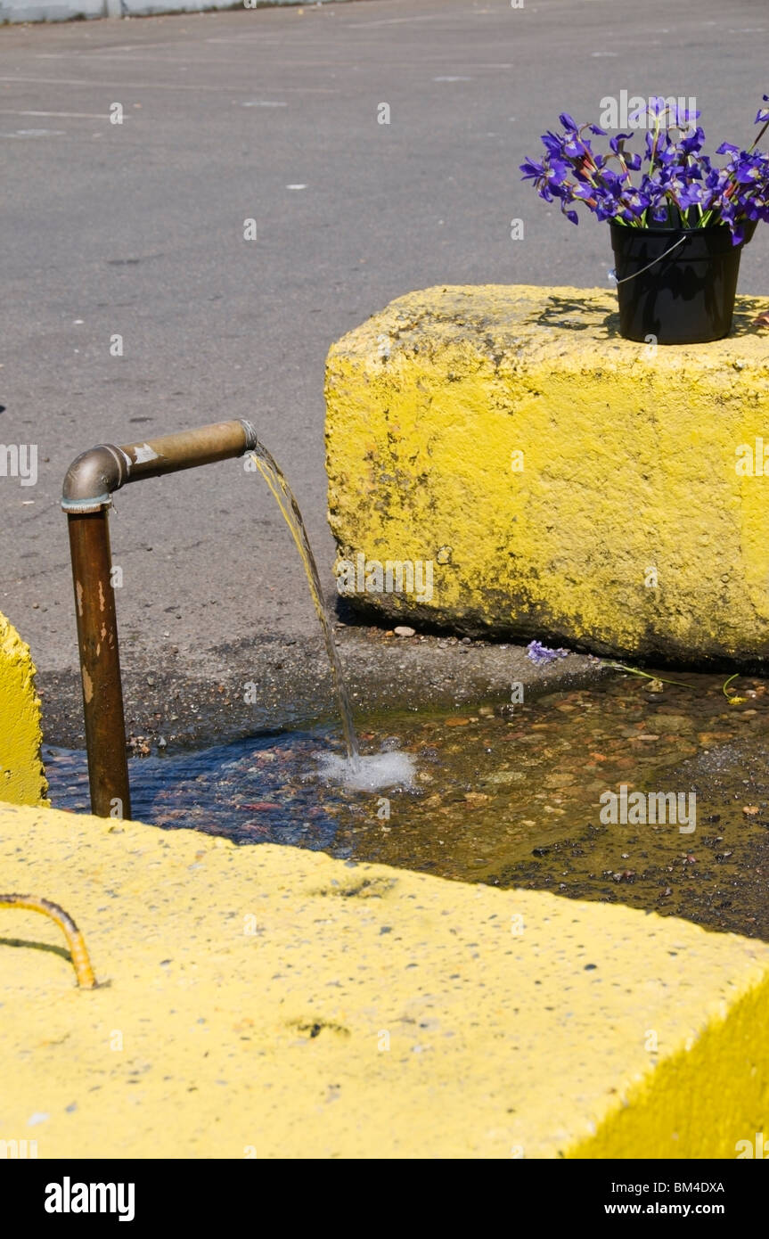Free-flowing artesian well water located in a parking lot in downtown Olympia, Washington. Stock Photo