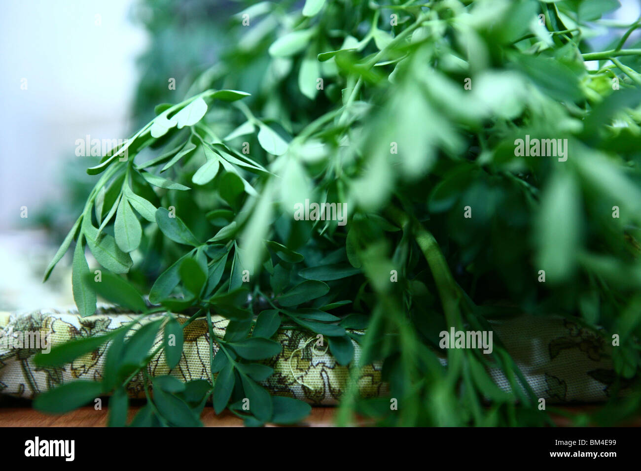 Traditional Jewish Henna ceremony Stock Photo - Alamy