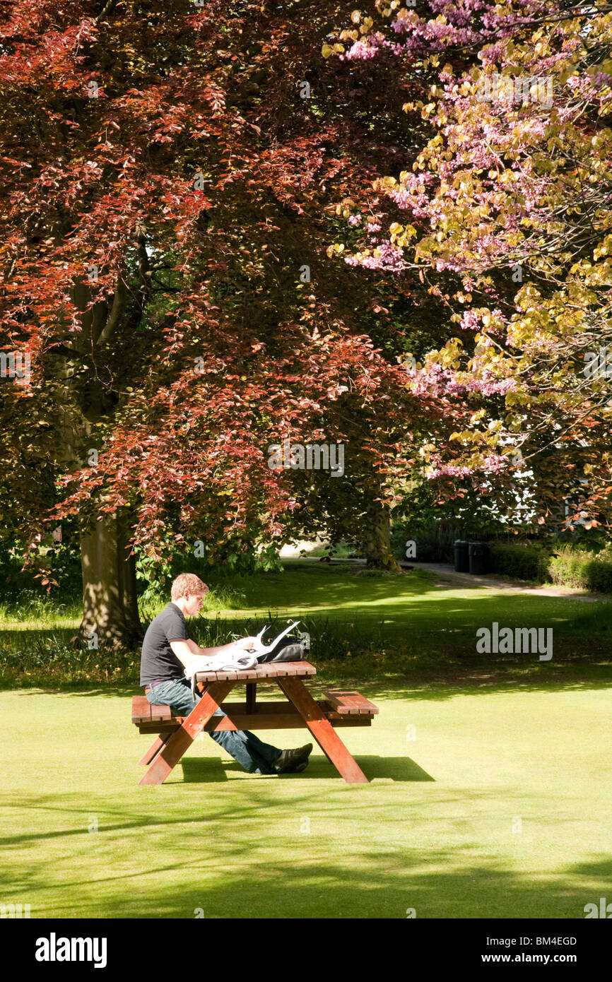 A student working in the fellows garden, Sidney Sussex college Cambridge University, Cambridge UK Stock Photo