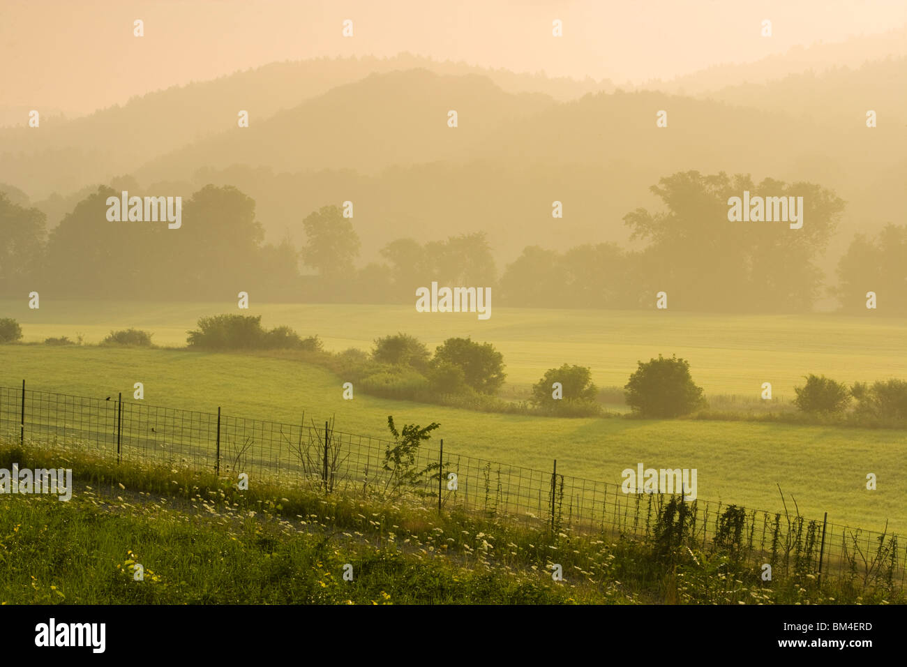 Early morning on a farm near the Connecticut River in Windsor, Vermont. Stock Photo