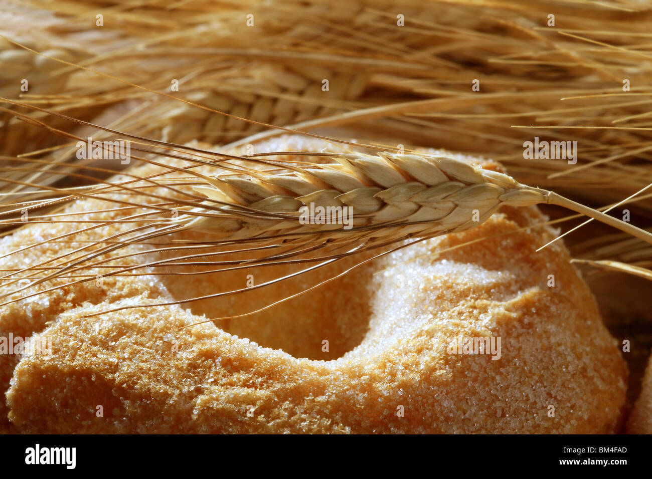 брага из пшеницы без дрожжей. брага на пшенице для самогона. брага на пшенице для самогона. пшеница сахар красивое фото. цельнозерновая пшеница.