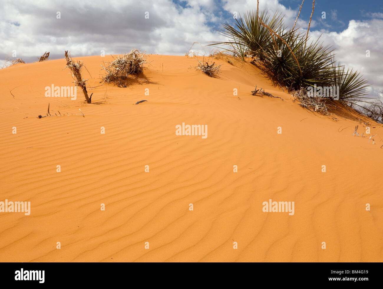 Colourful sand dunes. Stock Photo