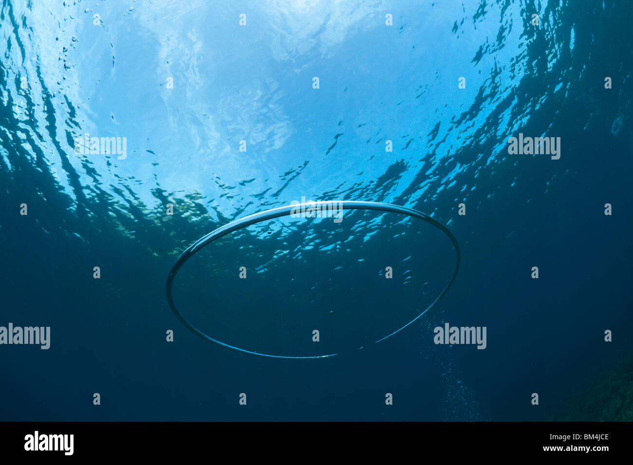 Bubble Ring made by Scuba Diver underwater, Raja Ampat, West Papua