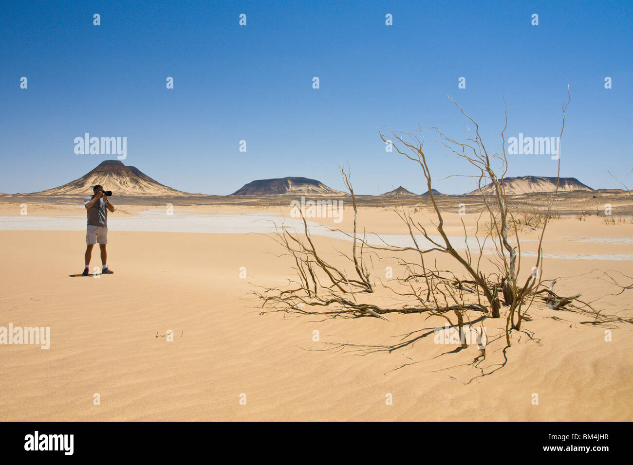 Tourist photographs Black Desert, Libyan Desert, Egypt Stock Photo