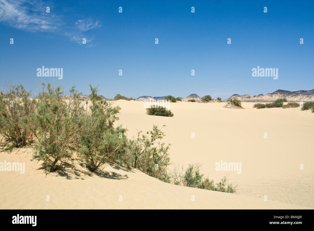 Desert near Bahariya Oasis, Libyan Desert, Egypt Stock Photo