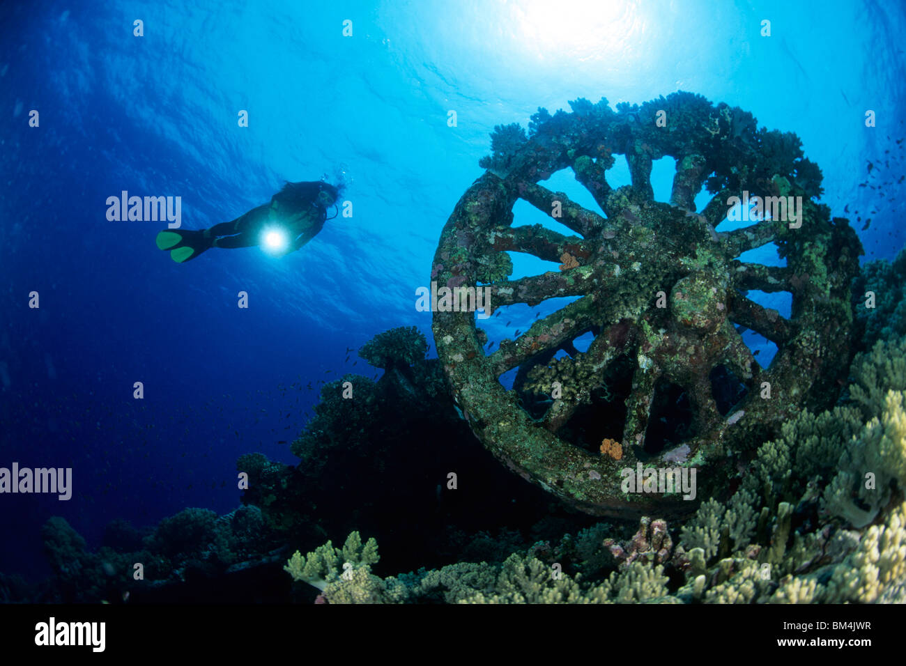 Railway Wheel of Numidia Wreck, Brother Islands, Red Sea, Egypt Stock
