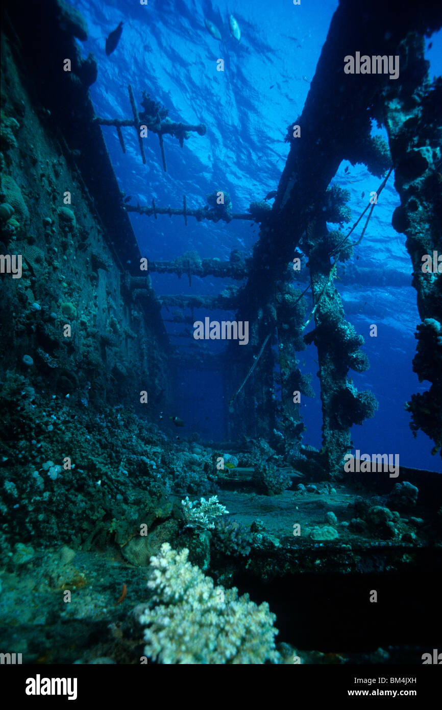 Handrail of Umbria Wreck, Wingate Reef, Red Sea, Sudan Stock Photo