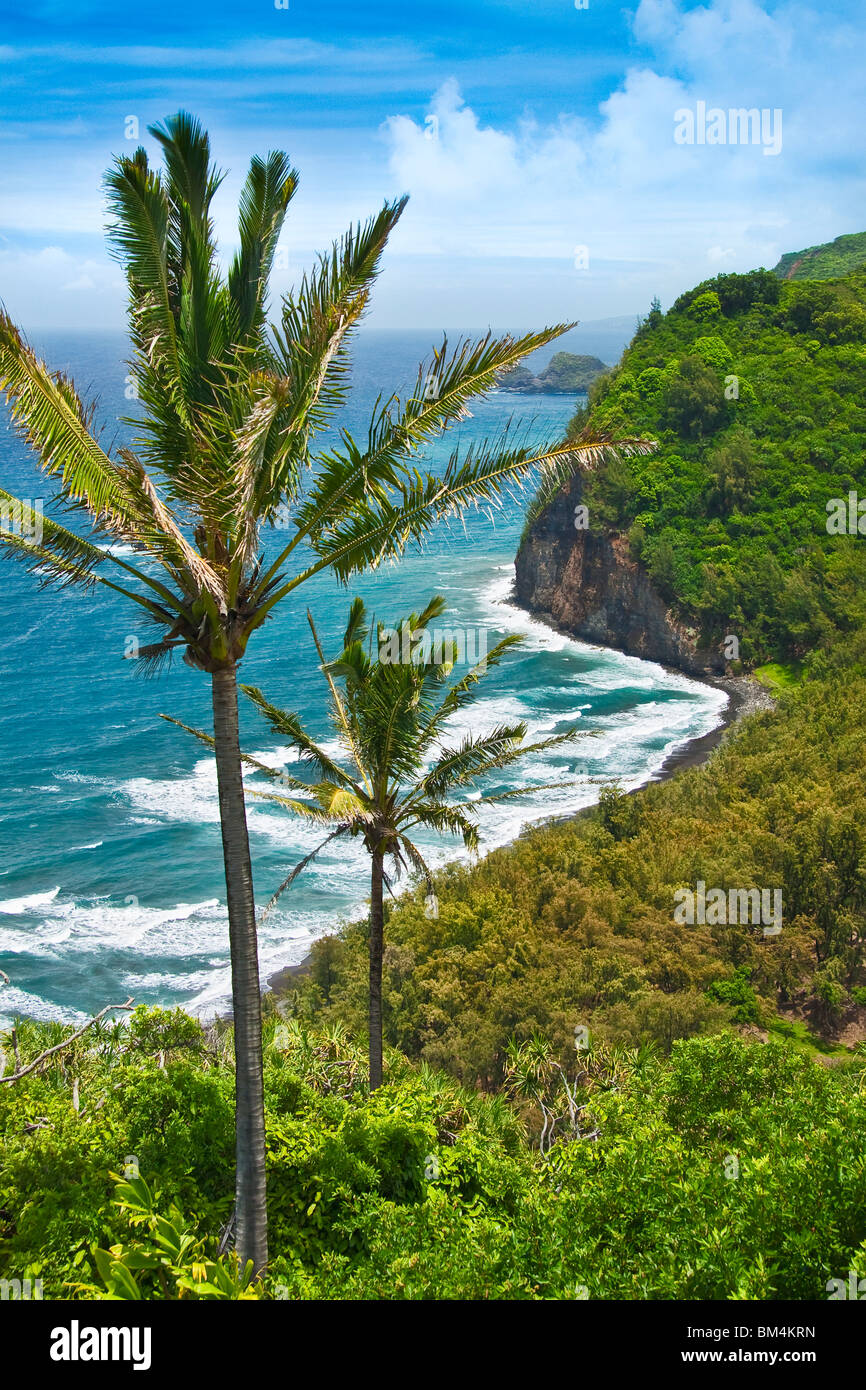 View at Pololu Beach, Kohala Coast, Big Island, Hawaii, USA Stock Photo