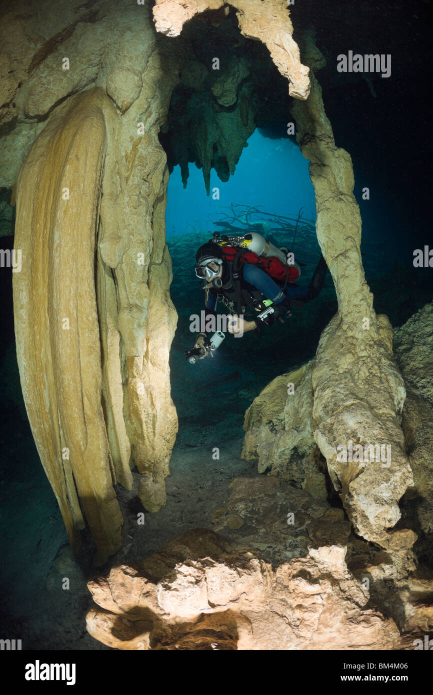 Scuba Diver in Car Wash Cenote Aktun Ha, Tulum, Yucatan Peninsula, Mexico Stock Photo Alamy Scuba Diver in Car Wash Cenote Aktun Ha, Tulum, Yucatan Peninsula, Mexico Stock Photo Alamy