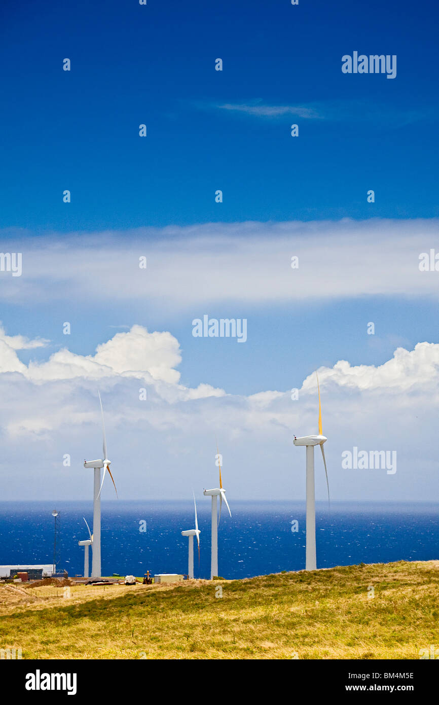 Windfarm at Uplolu Point, Kohala, Big Island, Hawaii, USA Stock Photo