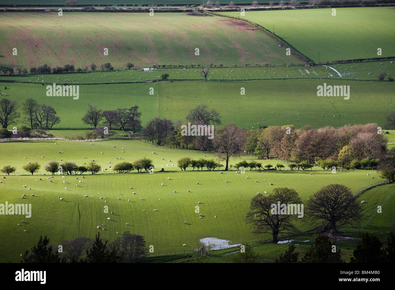 Field Systems near Swainby, North York Moors, UK Stock Photo