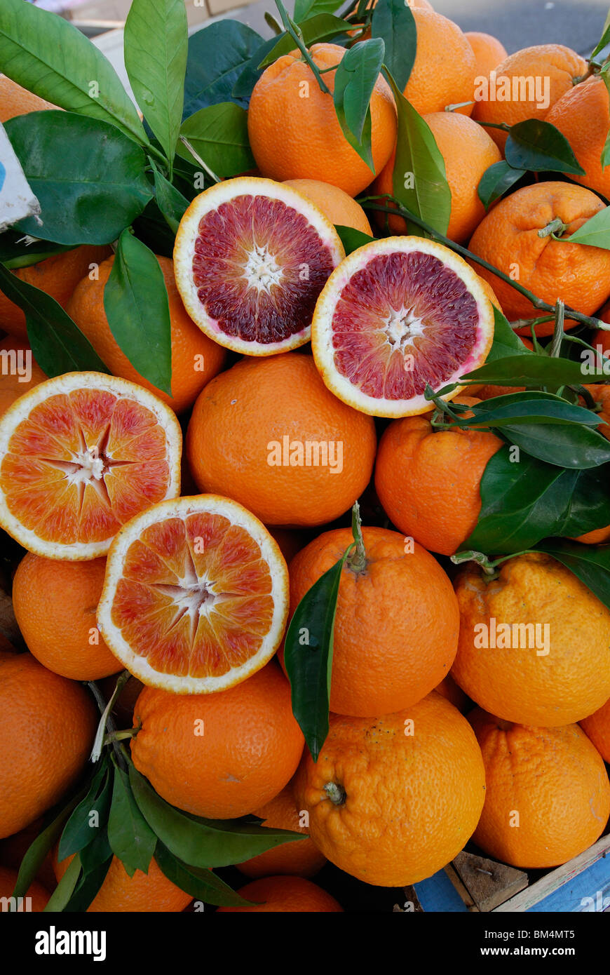 Syracuse / Siracusa. Sicily. Italy. Ortygia. Sicilian Tarocco Oranges on sale at the market. Stock Photo