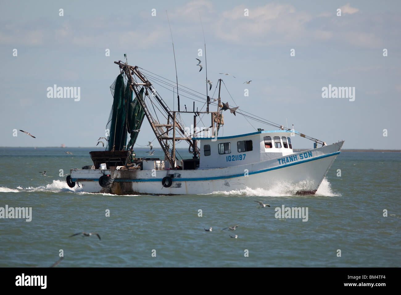 Shrimp boat with its nets hauled in heads back to port in Corpus Christi Bay near Corpus Christi, Texas, USA. Stock Photo