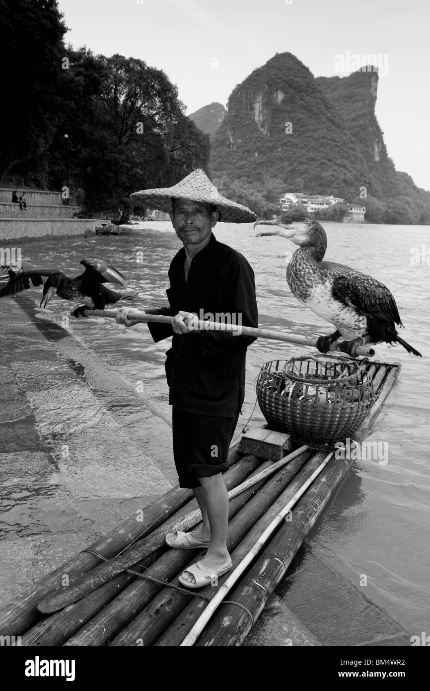 Cormorant Fisherman, Yangshuo, China Stock Photo Alamy