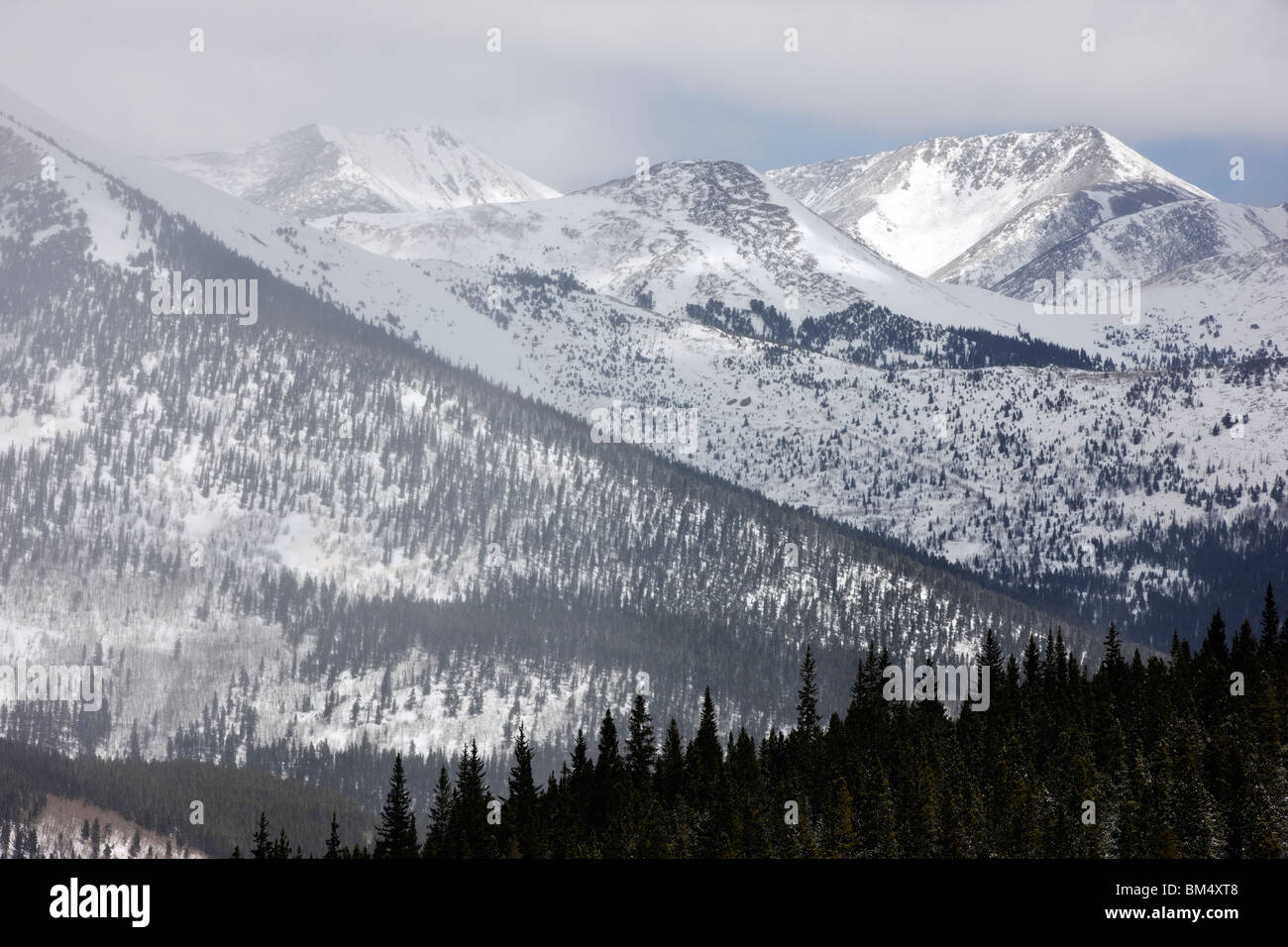 Winter panorama view Monarch Pass, Chaffee County, Colorado, USA. Mount