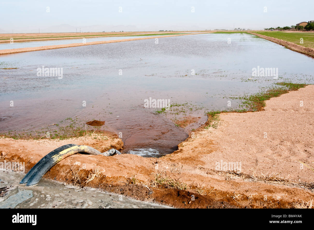 Ditch irrigation siphon hires stock photography and images Alamy