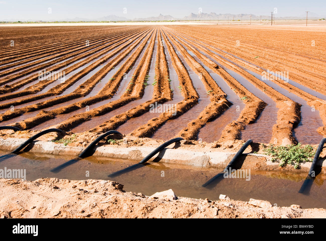 Ditch irrigation siphon hires stock photography and images Alamy