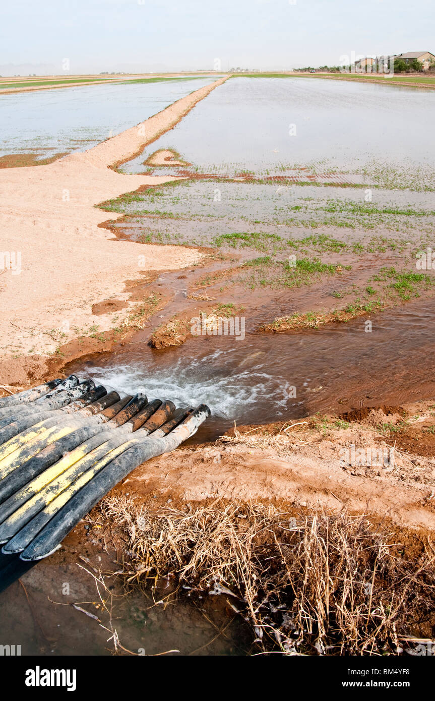 Ditch irrigation siphon hires stock photography and images Alamy