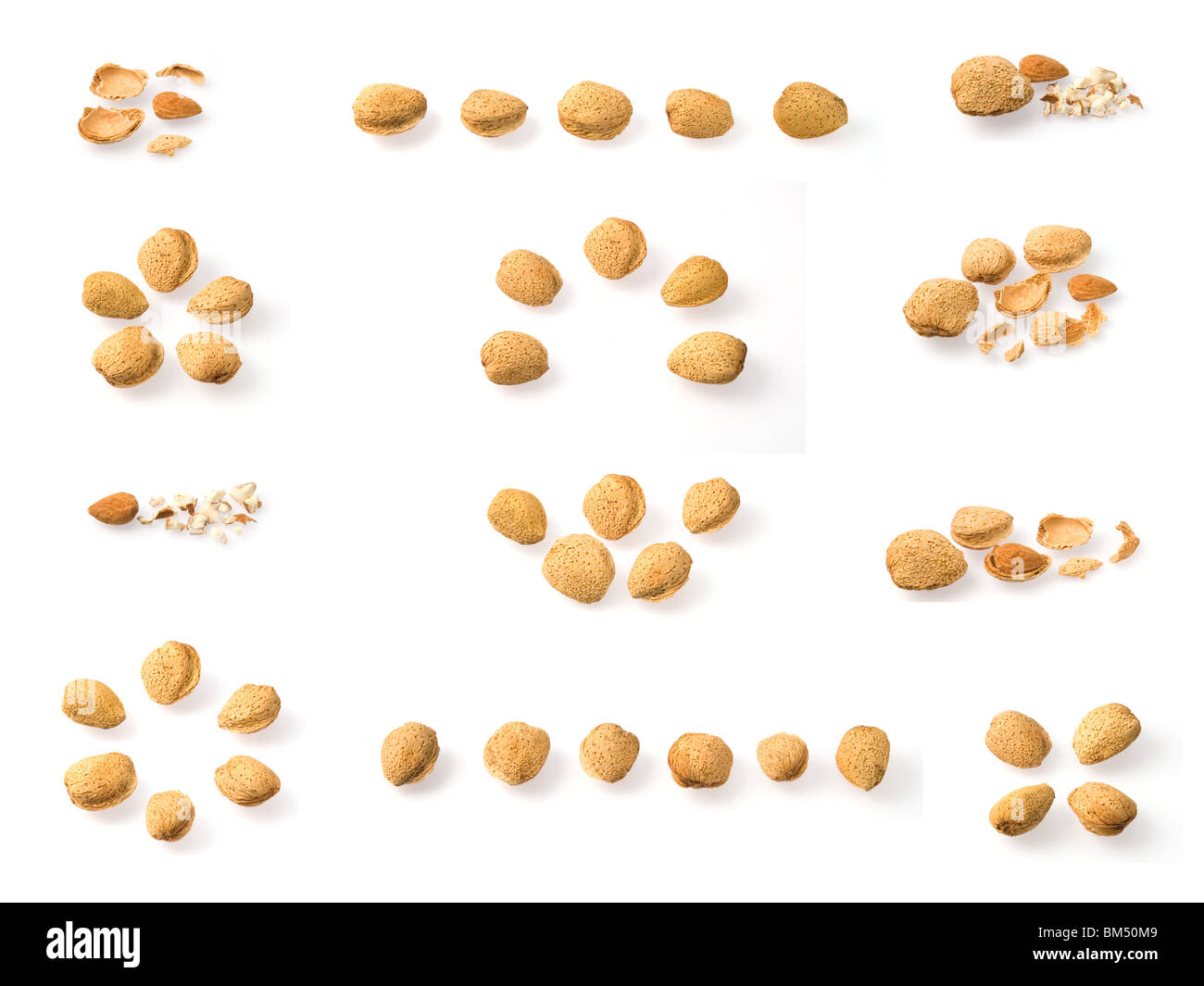 Almondcollective