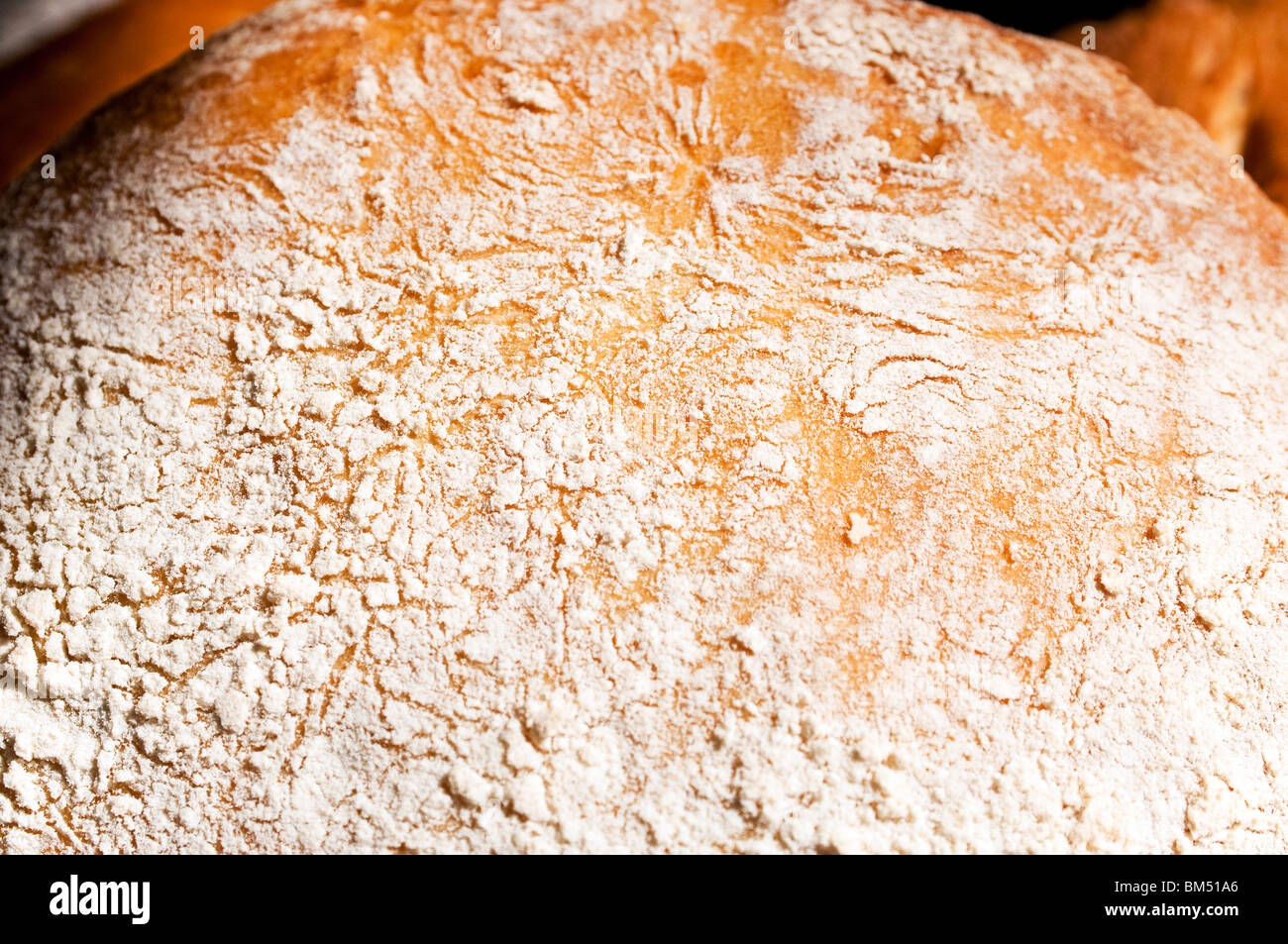Close up of French crusty bread with flour detail Stock Photo