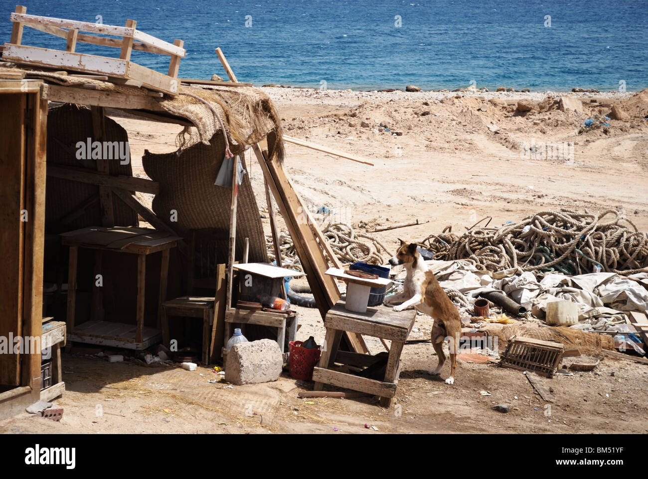 Poor hut on polluted beach Red Sea, Hurghada, Egypt Stock Photo