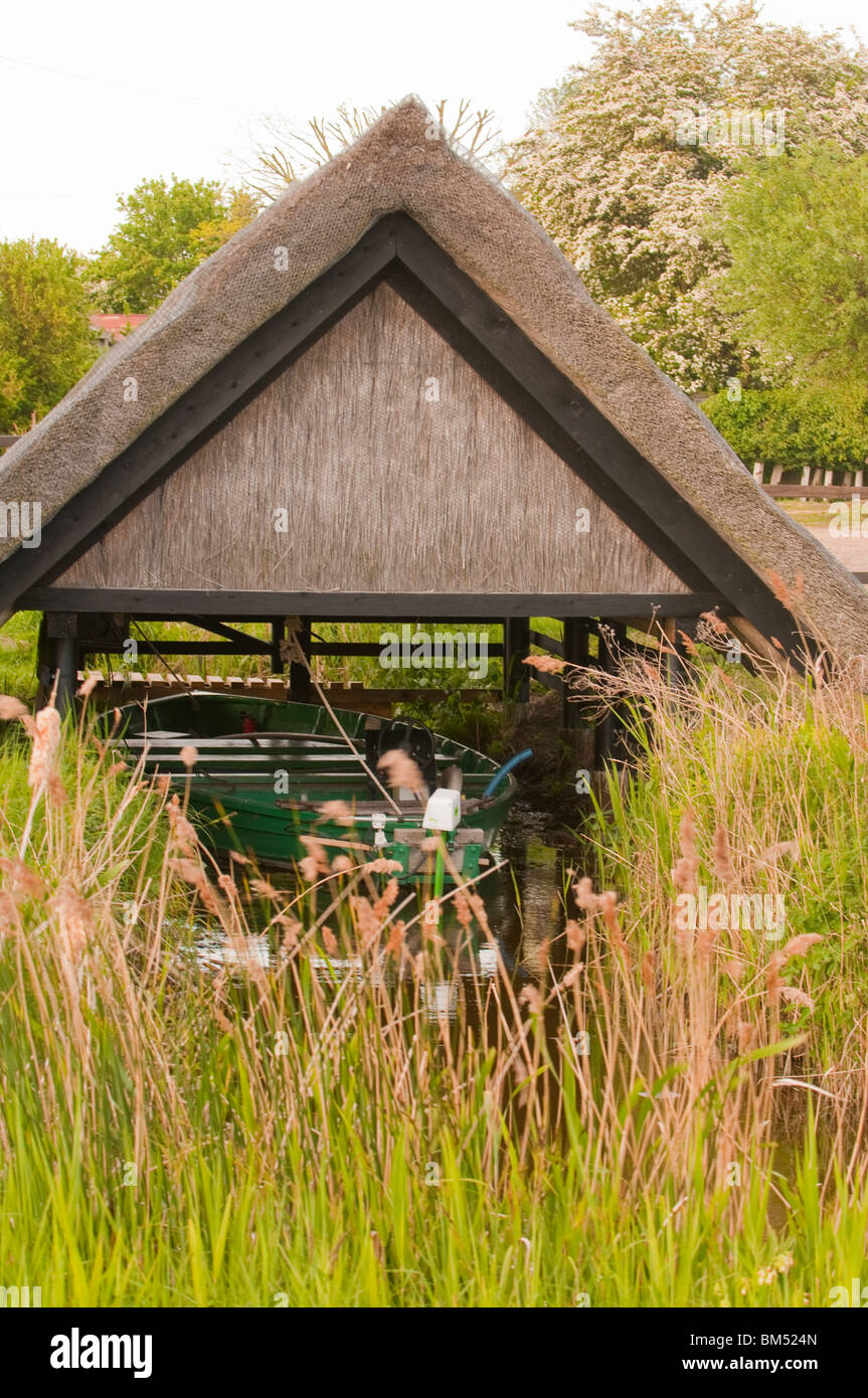 thatched boat house hidden by reeds Stock Photo