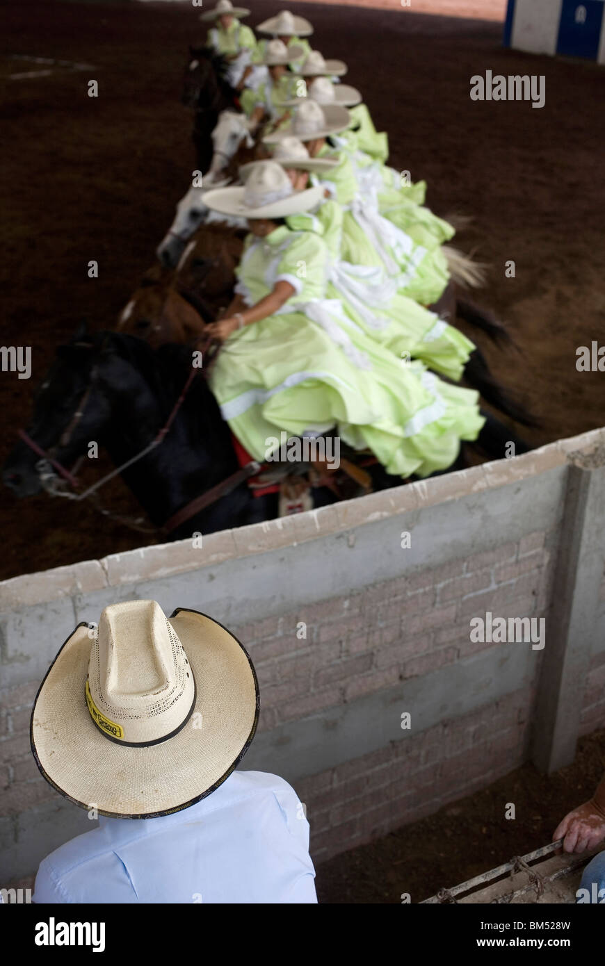 Camacho horse hi-res stock photography and images - Alamy